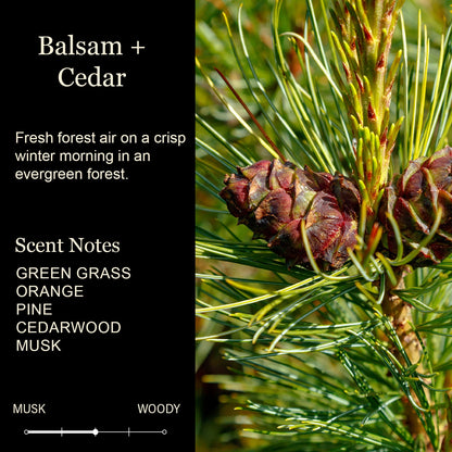 Fraser Fir Christmas Candle – Fresh-Cut Tree Scent